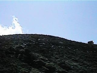 [Photo:]